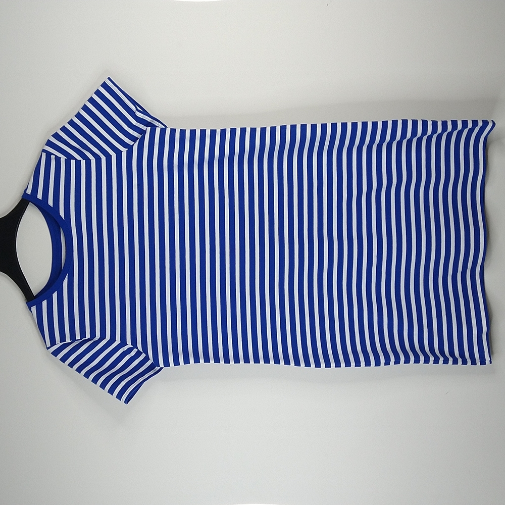 Women Blue & White Stripe Dress Size: L